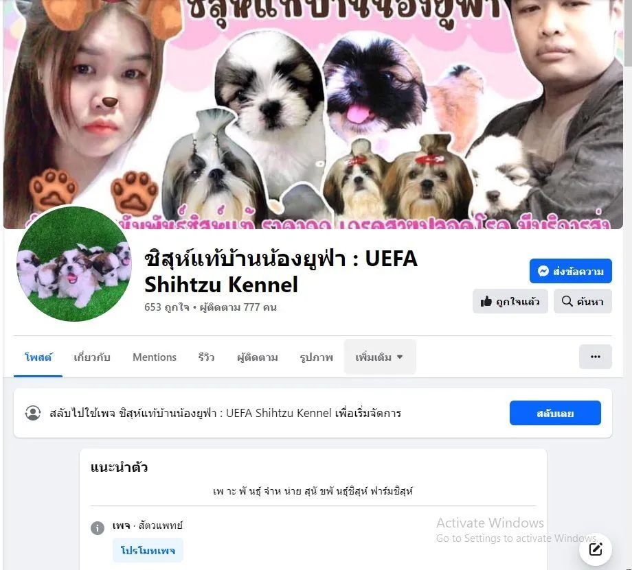 ด่วน 6900 ลดเหลือ 5500 ปอมเเท้ รวมวัคซีน ไซส์เล็ก พร้อมย้าย