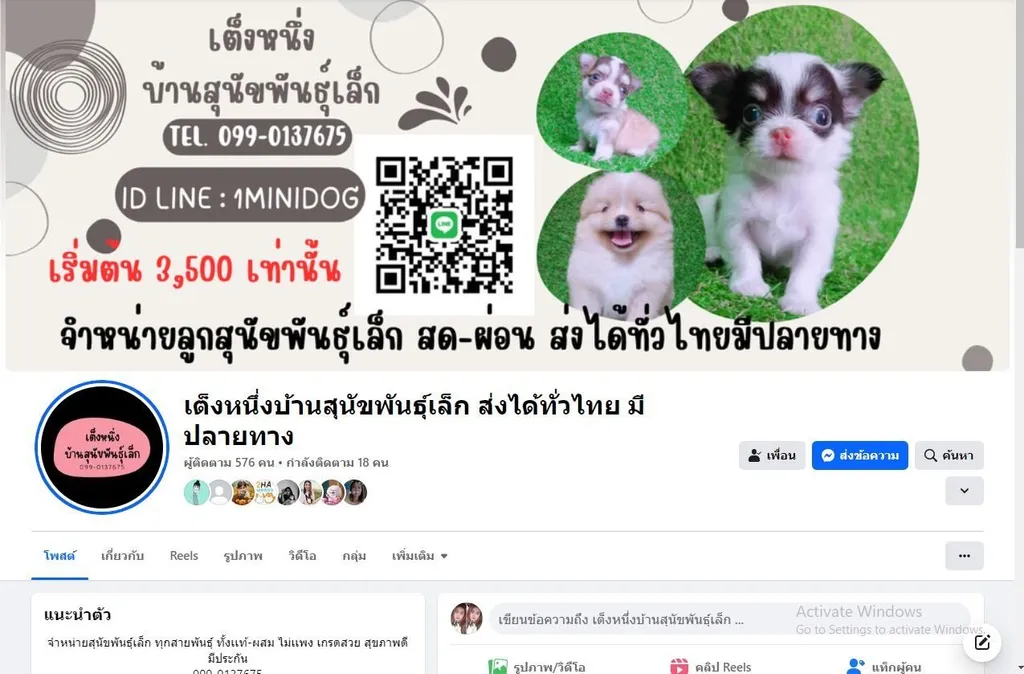 ด่วน 6900 ลดเหลือ 5500 ปอมเเท้ รวมวัคซีน ไซส์เล็ก พร้อมย้าย